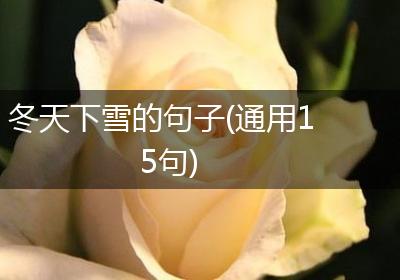 冬天下雪的句子(通用15句)