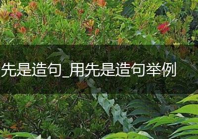 先是造句_用先是造句举例