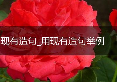 现有造句_用现有造句举例