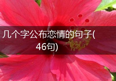 几个字公布恋情的句子(46句)