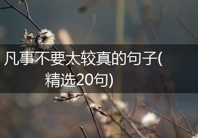 凡事不要太较真的句子(精选20句)