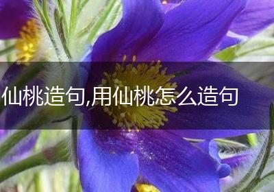仙桃造句,用仙桃怎么造句