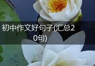 初中作文好句子(汇总20句)