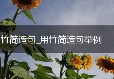 竹简造句_用竹简造句举例