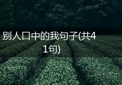 别人口中的我句子(共41句)