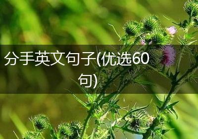 分手英文句子(优选60句)