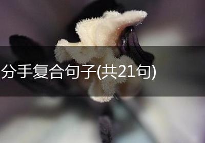 分手复合句子(共21句)