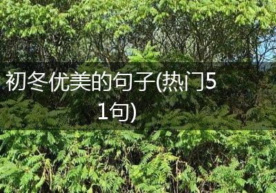 初冬优美的句子(热门51句)