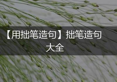 【用拙笔造句】拙笔造句大全