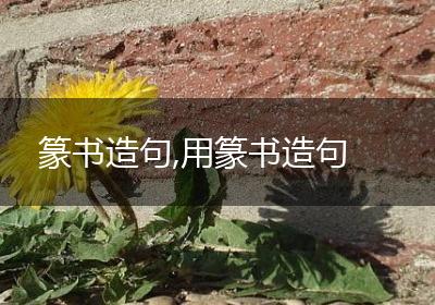 篆书造句,用篆书造句