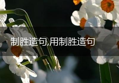 制胜造句,用制胜造句