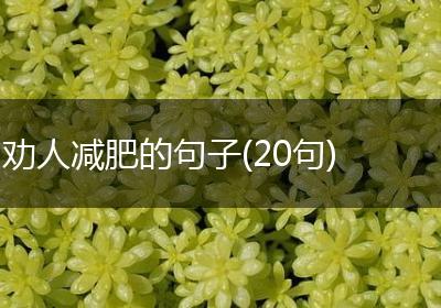 劝人减肥的句子(20句)