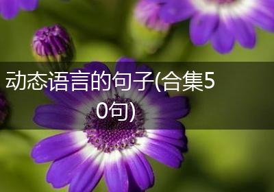 动态语言的句子(合集50句)