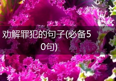 劝解罪犯的句子(必备50句)