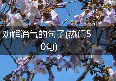 劝解消气的句子(热门50句)