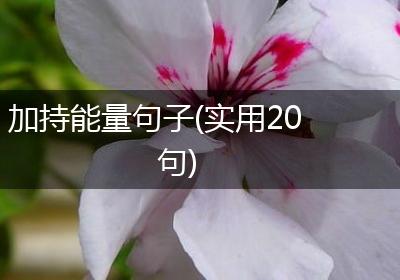 加持能量句子(实用20句)