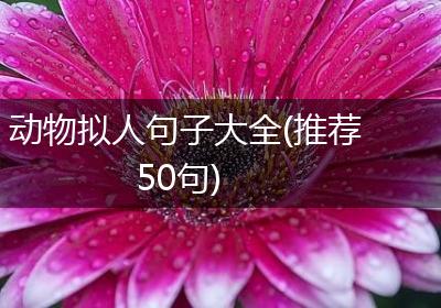 动物拟人句子大全(推荐50句)