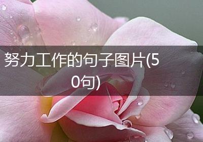努力工作的句子图片(50句)