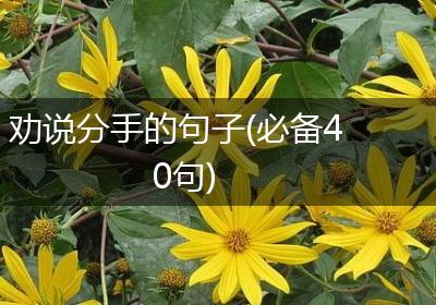 劝说分手的句子(必备40句)