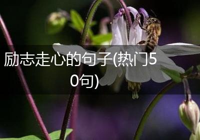 励志走心的句子(热门50句)