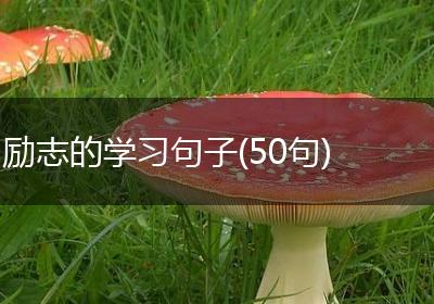 励志的学习句子(50句)