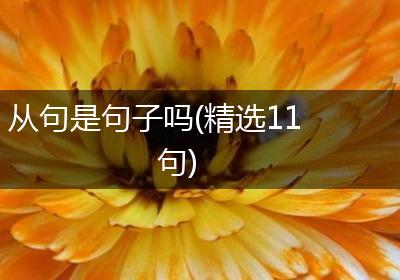 从句是句子吗(精选11句)