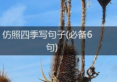 仿照四季写句子(必备6句)