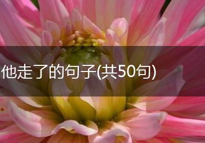 他走了的句子(共50句)