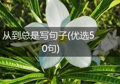 从到总是写句子(优选50句)
