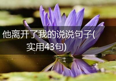 他离开了我的说说句子(实用43句)