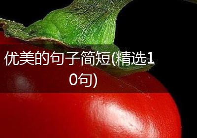 优美的句子简短(精选10句)