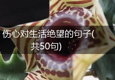 伤心对生活绝望的句子(共50句)