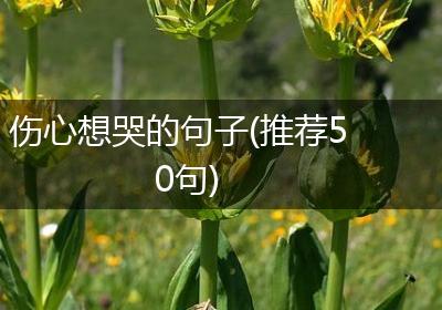 伤心想哭的句子(推荐50句)