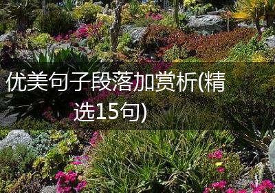 优美句子段落加赏析(精选15句)