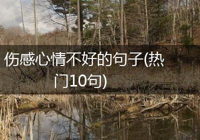 伤感心情不好的句子(热门10句)