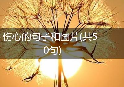 伤心的句子和图片(共50句)