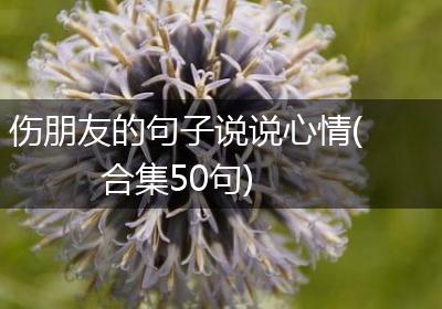 伤朋友的句子说说心情(合集50句)