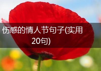 伤感的情人节句子(实用20句)