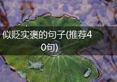 似贬实褒的句子(推荐40句)