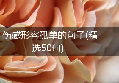 伤感形容孤单的句子(精选50句)