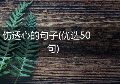 伤透心的句子(优选50句)