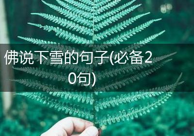 佛说下雪的句子(必备20句)