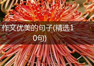 作文优美的句子(精选10句)
