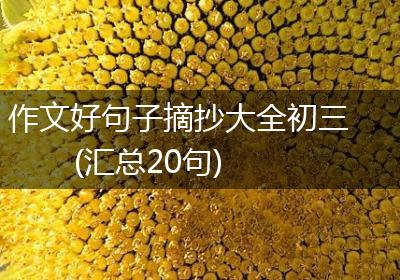 作文好句子摘抄大全初三(汇总20句)