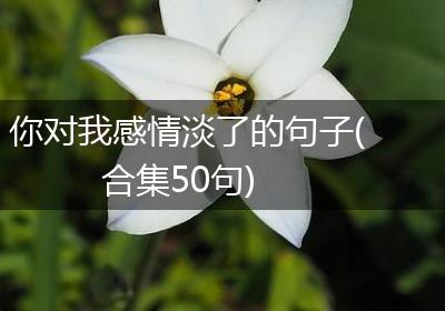 你对我感情淡了的句子(合集50句)