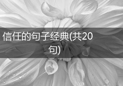 信任的句子经典(共20句)