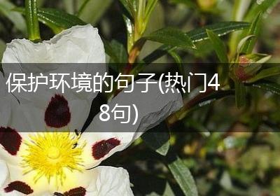 保护环境的句子(热门48句)