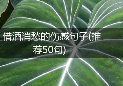 借酒消愁的伤感句子(推荐50句)