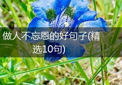 做人不忘恩的好句子(精选10句)