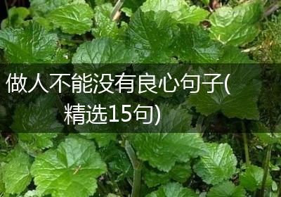 做人不能没有良心句子(精选15句)